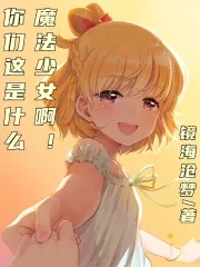 《你们这是什么魔法少女啊?!》小说封面