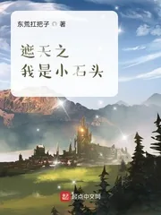《遮天之我是小石头》小说封面
