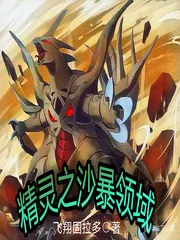 《精灵之沙暴领域》小说封面