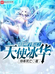 《超神学院之天使冰华》小说封面