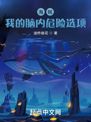 《海贼：我的脑内危险选项》小说封面