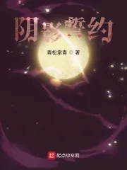 《阴影誓约》小说封面