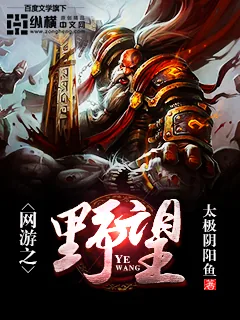 《网游之野望》小说封面
