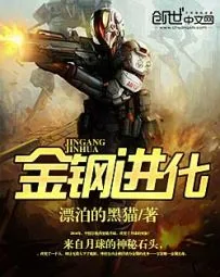《金钢进化》小说封面