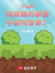 《什么叫我穿越的都是子供向世界？》小说封面