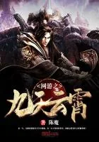 《网游之九天云霄》小说封面