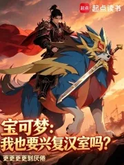 《宝可梦：我也要兴复汉室吗？》小说封面