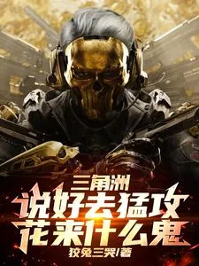 《三角洲:说好去猛攻,花来什么鬼》小说封面