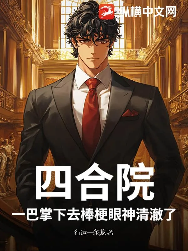 《四合院：一巴掌下去棒梗眼神清澈了》小说封面