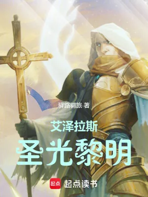 《艾泽拉斯圣光黎明》小说封面