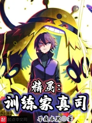 《精灵:训练家真司》小说封面