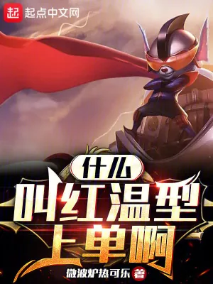 《什么叫红温型上单啊》小说封面