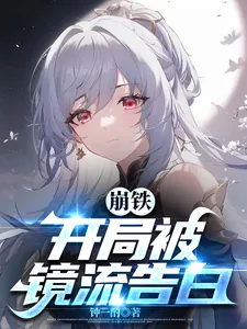 《崩铁:开局被镜流告白》小说封面