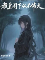 《教皇阁下从不伟大》小说封面