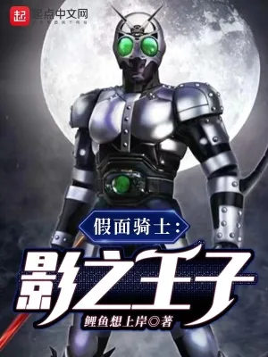 《假面骑士：影之王子》小说封面