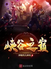 《峡谷之巅》小说封面
