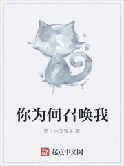 《你为何召唤我》小说封面