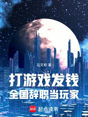 《打游戏发钱，全国兼职当玩家》小说封面