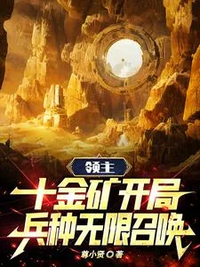 《领主:十金矿开局,兵种无限召唤》小说封面