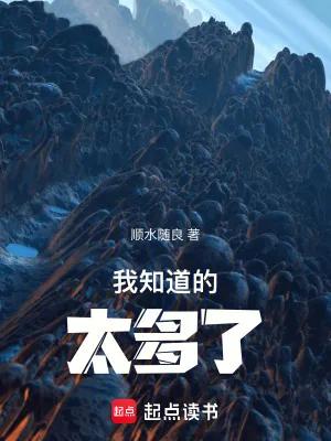 《我知道的太多了！》小说封面