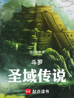 《斗罗：圣域传说》小说封面