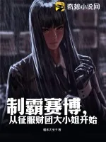 《制霸赛博，从征服财团大小姐开始》小说封面