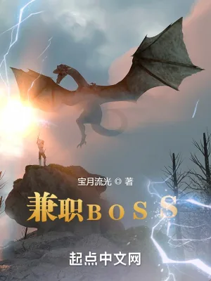 《兼职BOSS》小说封面