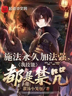 《施法永久加法强,我技能都是禁咒》小说封面