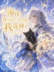 《神印：开局捡只小黑猫，我成神了》小说封面