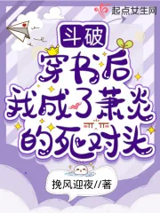 《斗破:穿书后我成了萧炎的死对头》小说封面