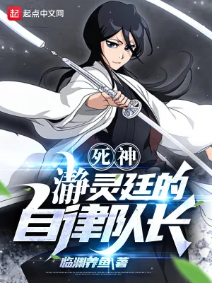 《死神:瀞灵廷的自律队长》小说封面