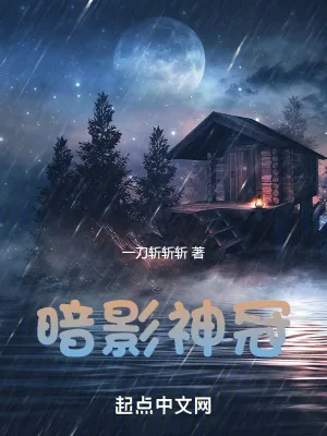 《暗影神冠》小说封面