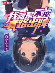 《我就是不按套路出牌》小说封面