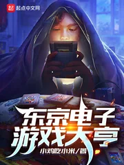 《东京电子游戏大亨》小说封面