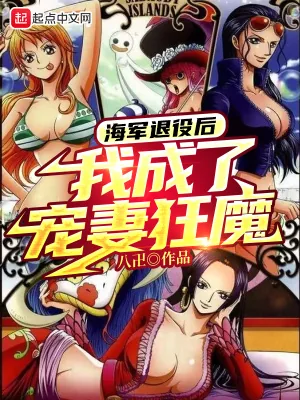 《海军退役后，我成了宠妻狂魔》小说封面