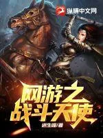 《网游之战斗天使》小说封面