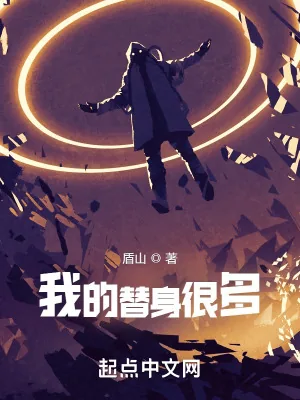 《我的替身很多》小说封面