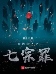 《全职猎人之七宗罪》小说封面