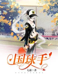 《国球手》小说封面