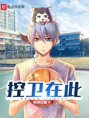 《控卫在此》小说封面