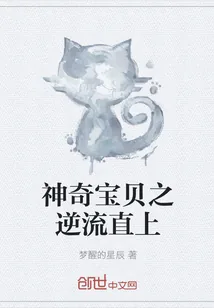《神奇宝贝之逆流直上》小说封面