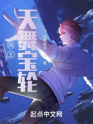 《网王：天舞宝轮》小说封面
