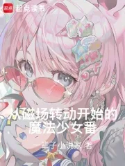 《从磁场转动开始的魔法少女番！》小说封面