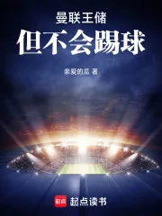 《曼联王储,但不会踢球》小说封面