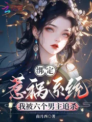 《绑定惹祸系统,我被六个男主追杀》小说封面