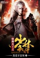 《特种兵王之少林武僧》小说封面