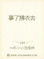 《事了拂衣去》小说封面
