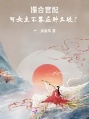 《撮合官配,可女主不答应肿么破?》小说封面