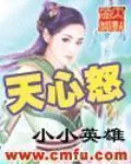 《天心怒》小说封面