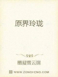 《原界玲珑》小说封面